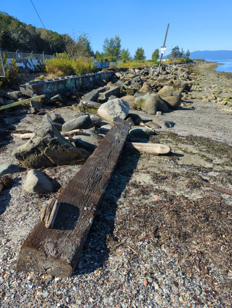 a wooden bench on a beach (MyCoast AI)