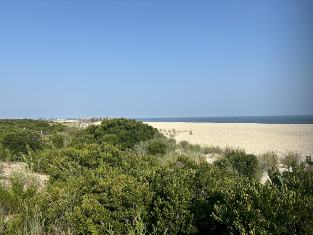 a sandy beach with bushes and trees (MyCoast AI)