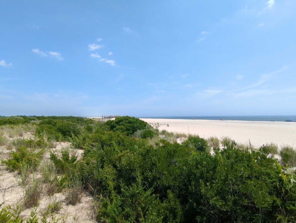 a sandy beach with trees and bushes (MyCoast AI)