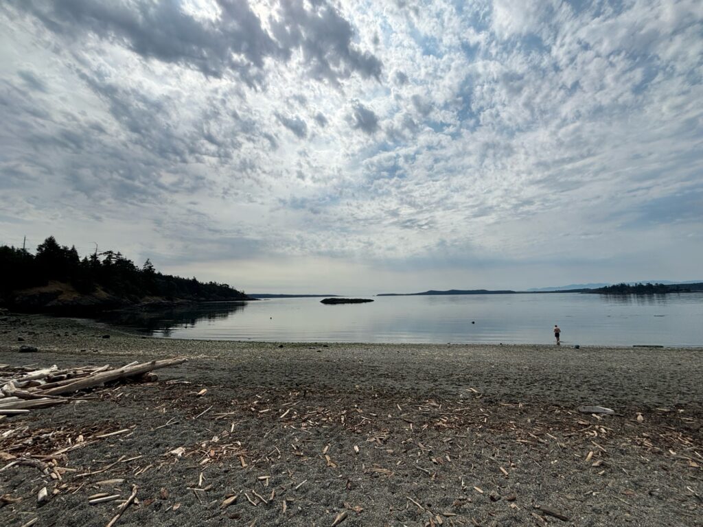 a person standing on a beach (MyCoast AI)