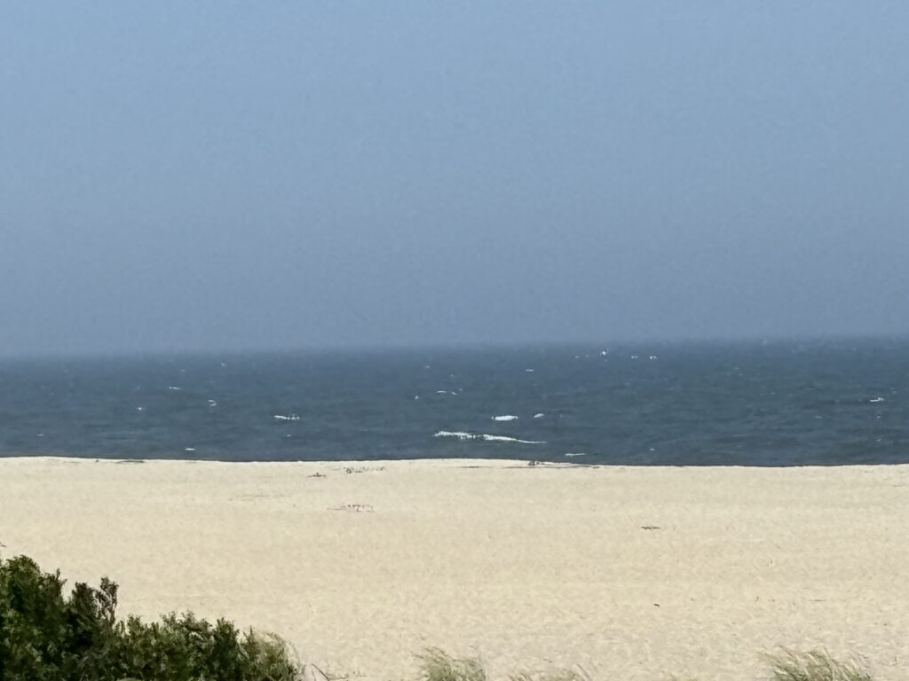 a beach with a body of water in the background (MyCoast AI)