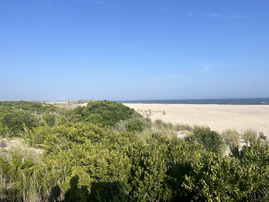 a landscape with trees and bushes (MyCoast AI)