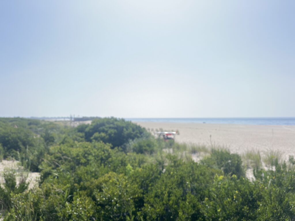 a beach with trees and bushes (MyCoast AI)
