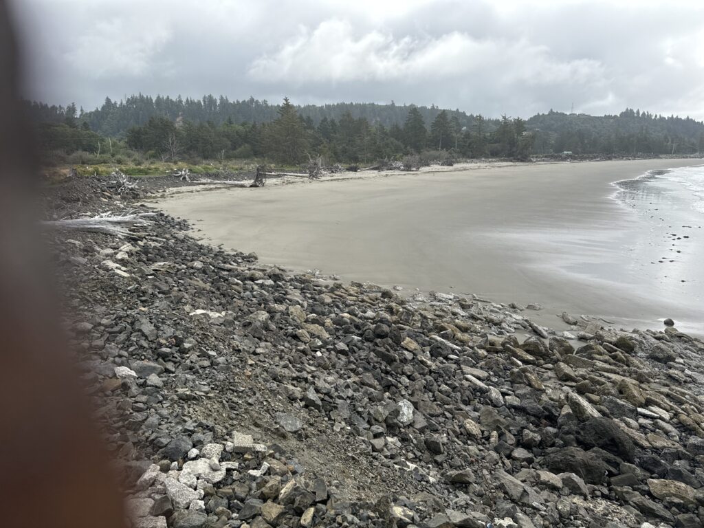 a rocky beach with trees in the background (MyCoast AI)
