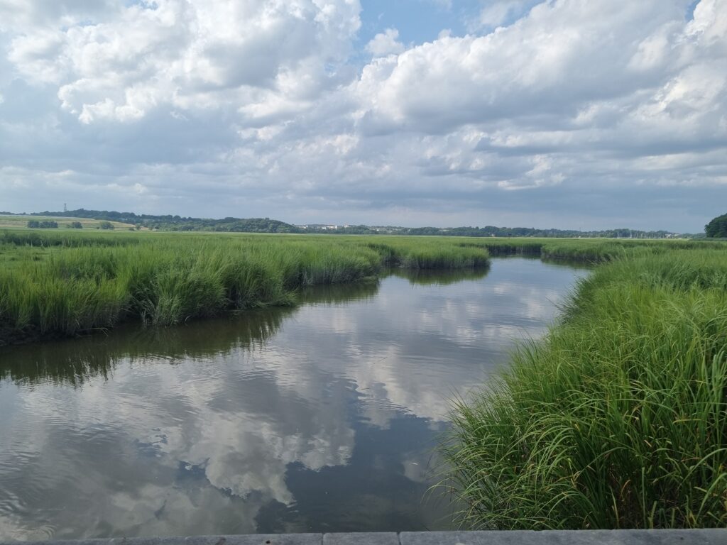 a body of water with grass and trees around it (MyCoast AI)
