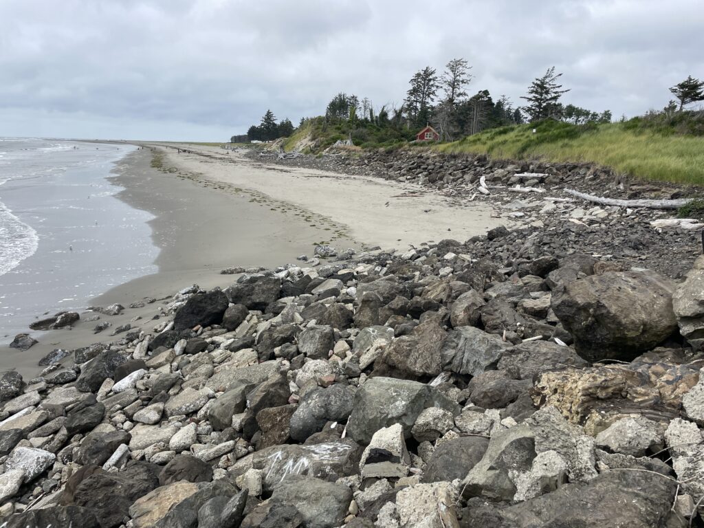 a rocky beach with trees and a hill in the background (MyCoast AI)