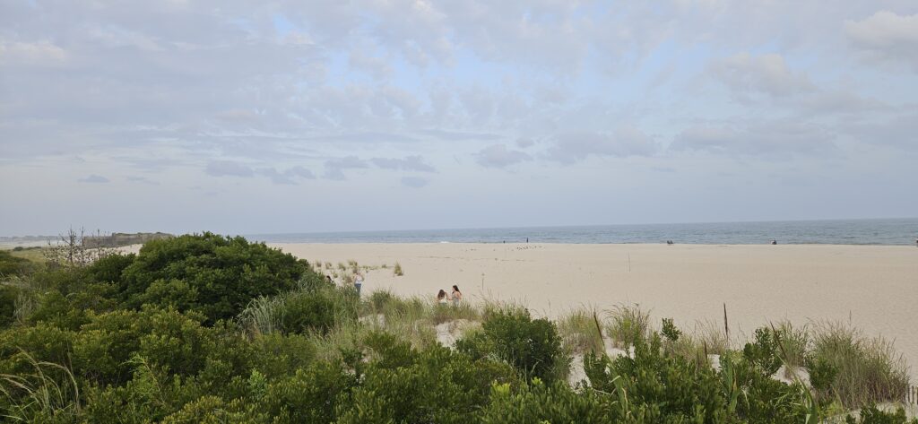 a sandy beach with bushes and trees (MyCoast AI)