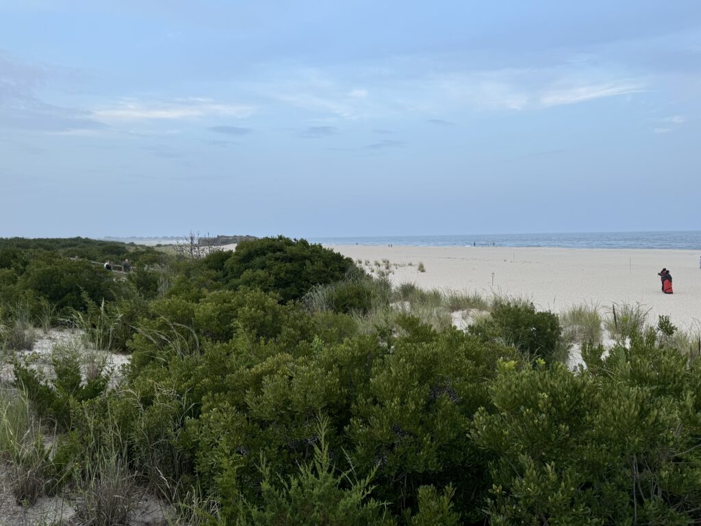 a person walking on a beach (MyCoast AI)