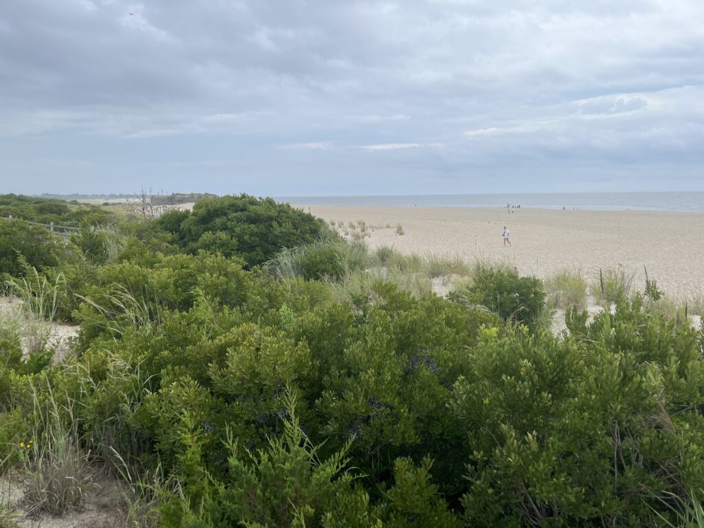 a person walking on a beach (MyCoast AI)