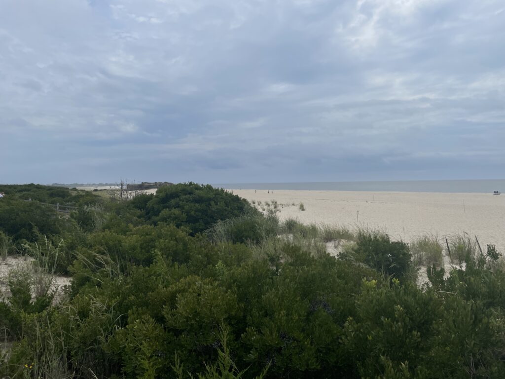 a landscape with trees and bushes (MyCoast AI)