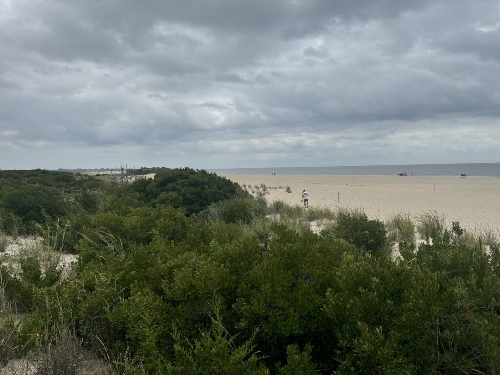 a person walking on a beach (MyCoast AI)