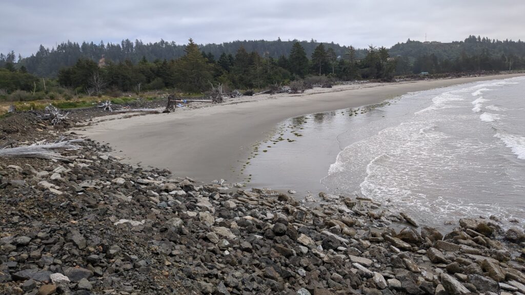 a rocky beach with trees in the background (MyCoast AI)