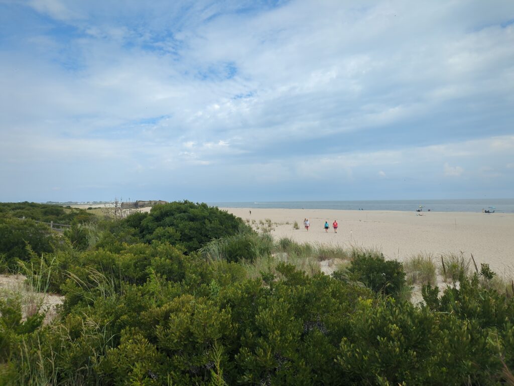 a group of people walking on a beach (MyCoast AI)