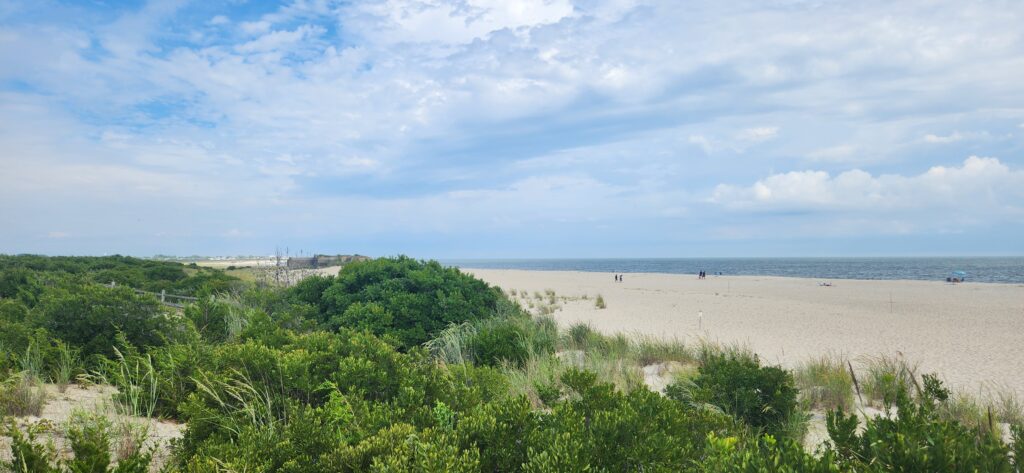 a sandy beach with bushes and trees (MyCoast AI)