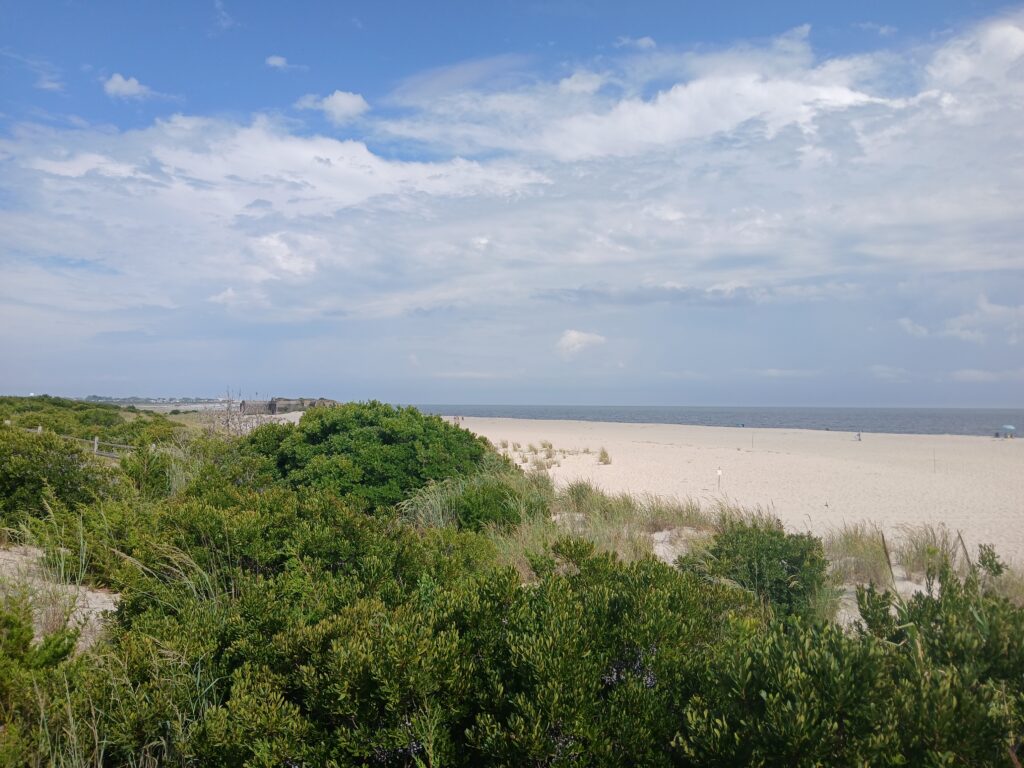 a sandy beach with bushes and trees (MyCoast AI)