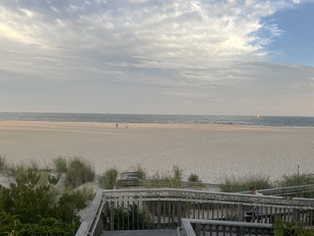a person standing on a deck overlooking a beach (MyCoast AI)