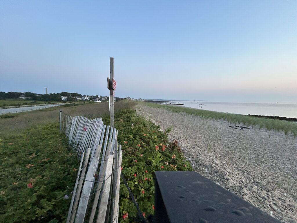 a fence on a path by a beach (MyCoast AI)