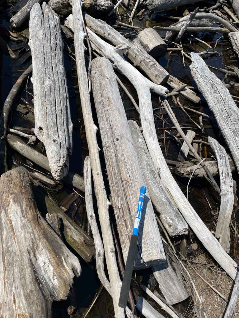 a wood structure with a blue object in it (MyCoast AI)