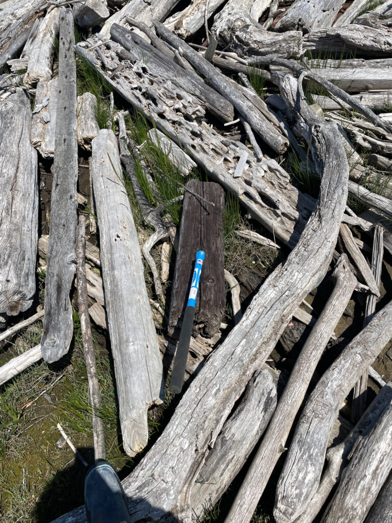 a blue pen on a pile of wood (MyCoast AI)