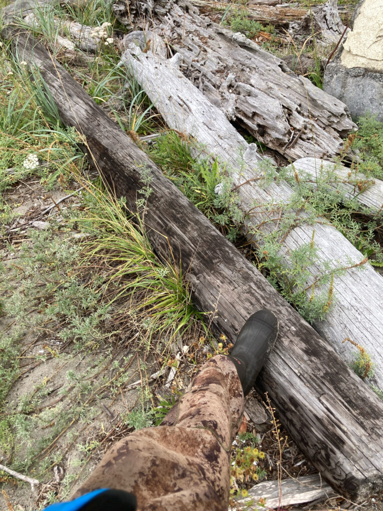 a person's feet on a log (MyCoast AI)