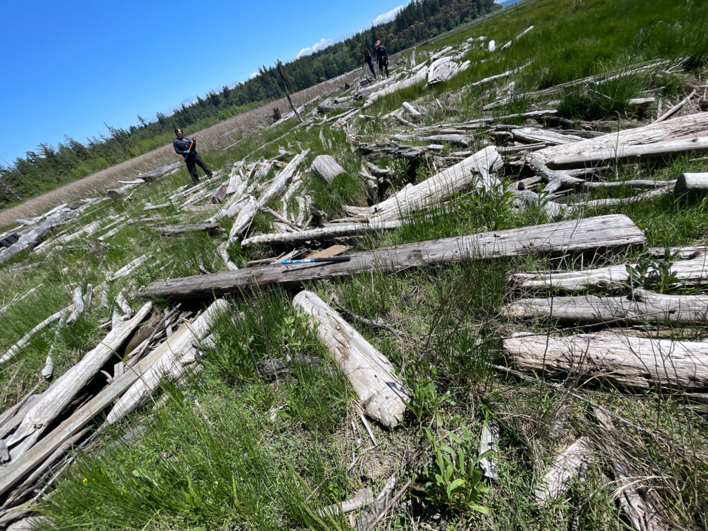 a group of people walking on a hill with logs (MyCoast AI)