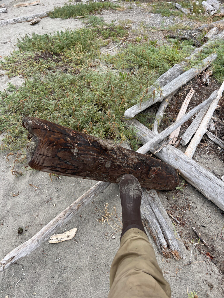 a person's leg and a log on the ground (MyCoast AI)