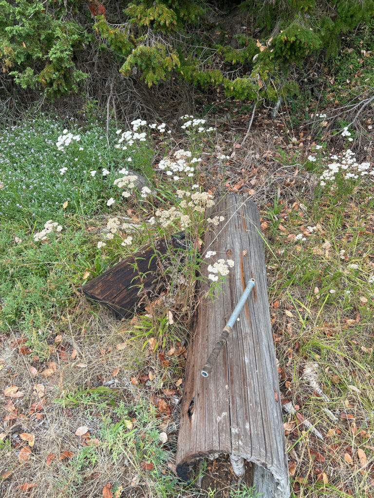 a wooden fence in a garden (MyCoast AI)