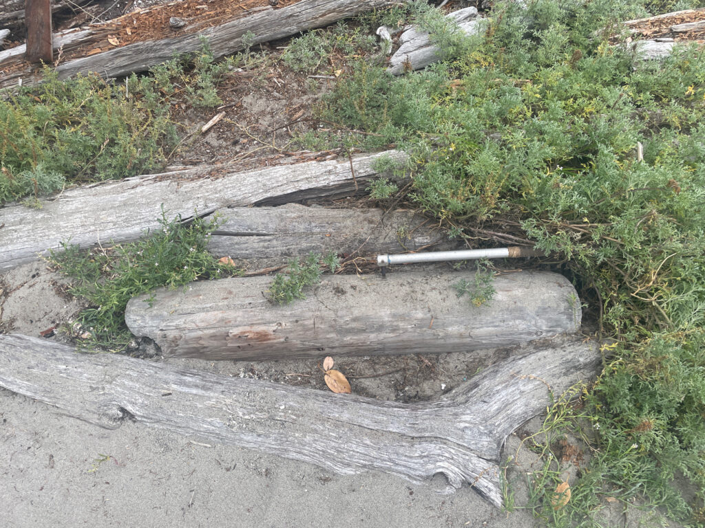 a pipe in a ditch (MyCoast AI)