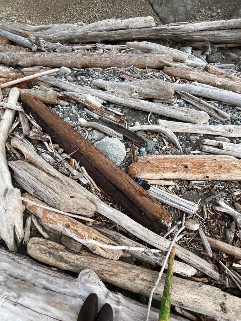 a pile of wood (MyCoast AI)