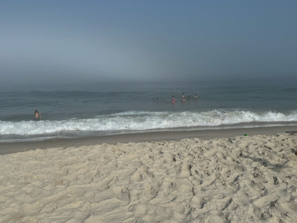 people in the water (MyCoast AI)