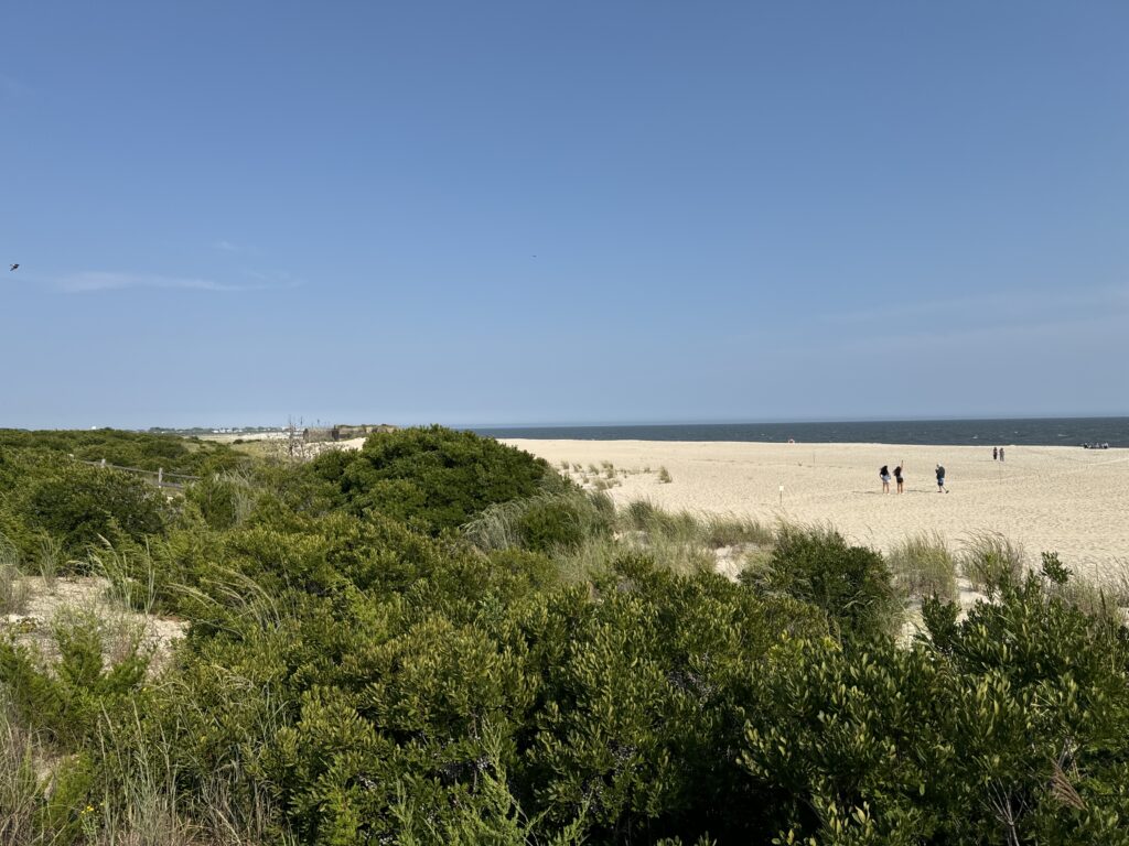 a group of people walking on a beach (MyCoast AI)
