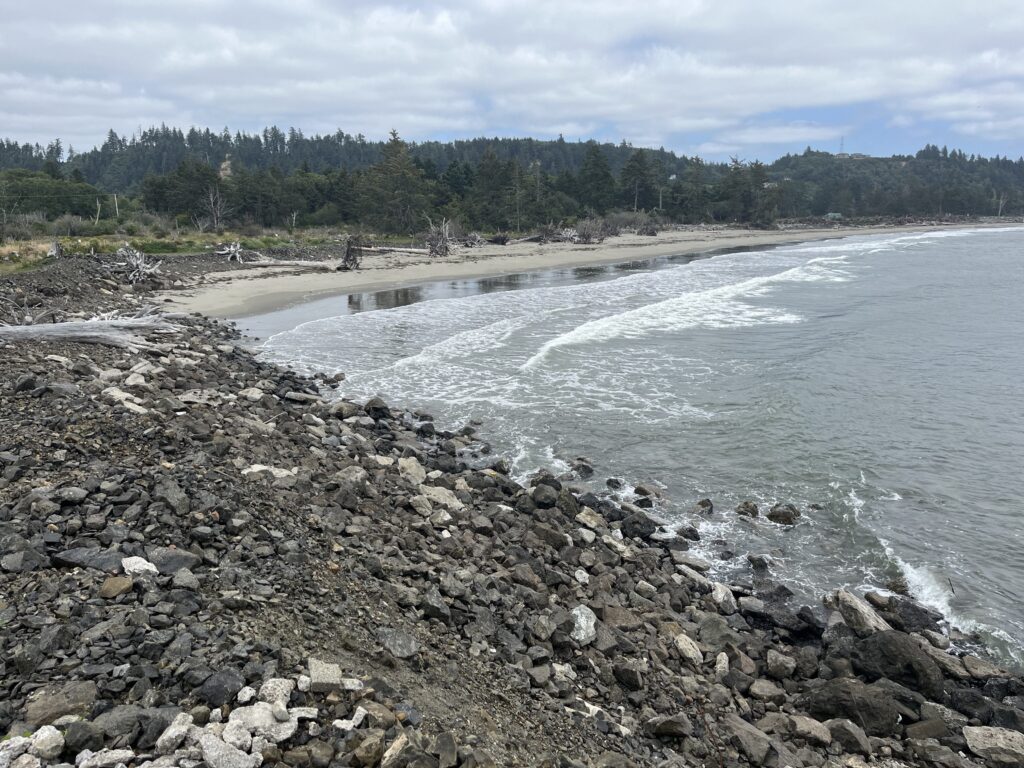 a rocky beach with a body of water and trees in the background (MyCoast AI)