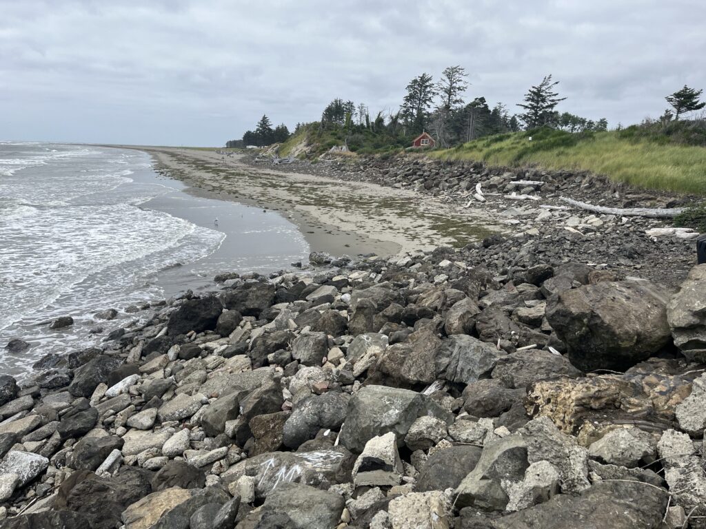 a rocky beach with trees and a hill in the background (MyCoast AI)