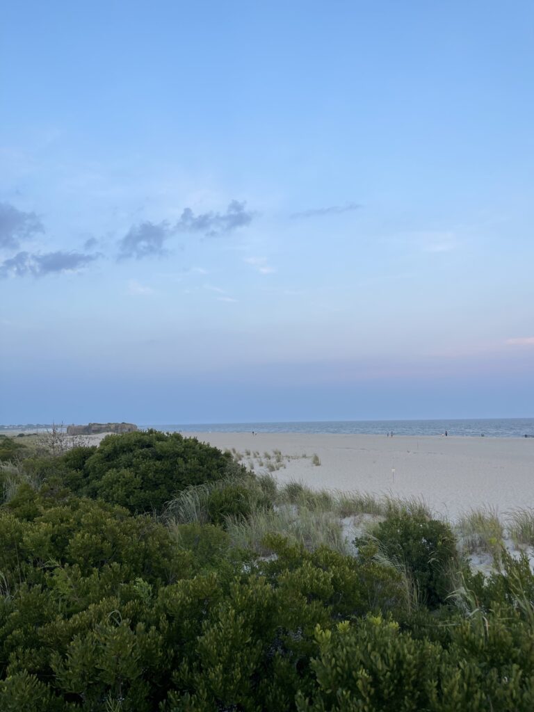 a beach with trees and bushes (MyCoast AI)