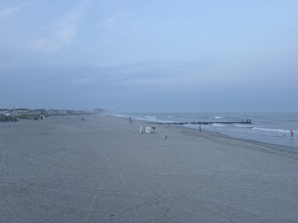 a beach with people walking on it (MyCoast AI)