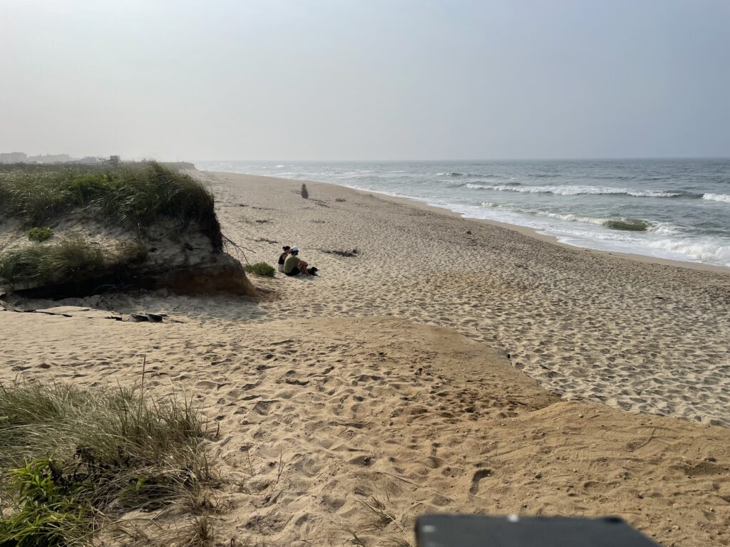 a person sitting on a beach (MyCoast AI)
