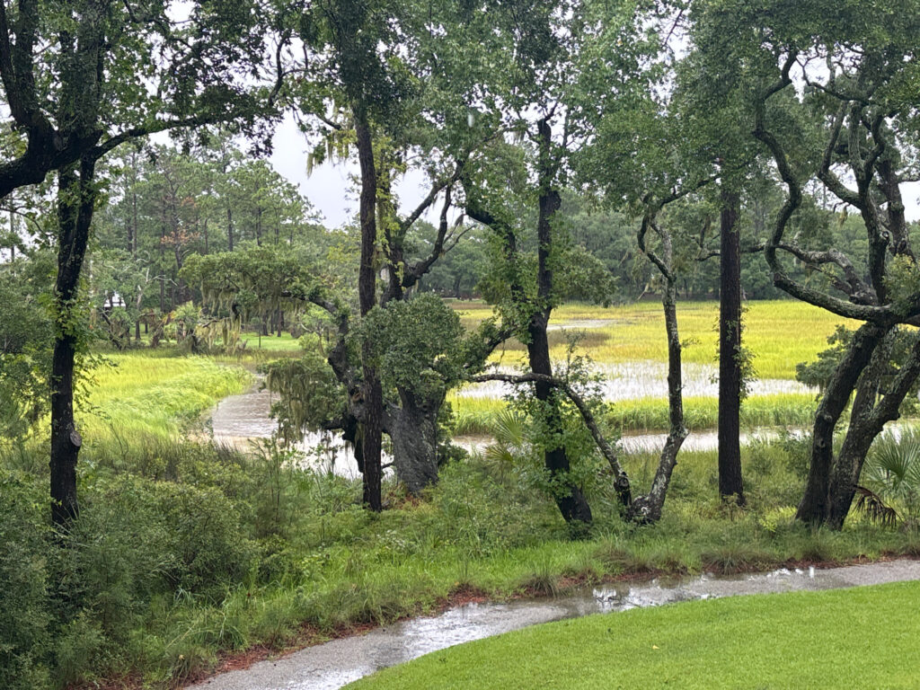 a stream in a park (MyCoast AI)