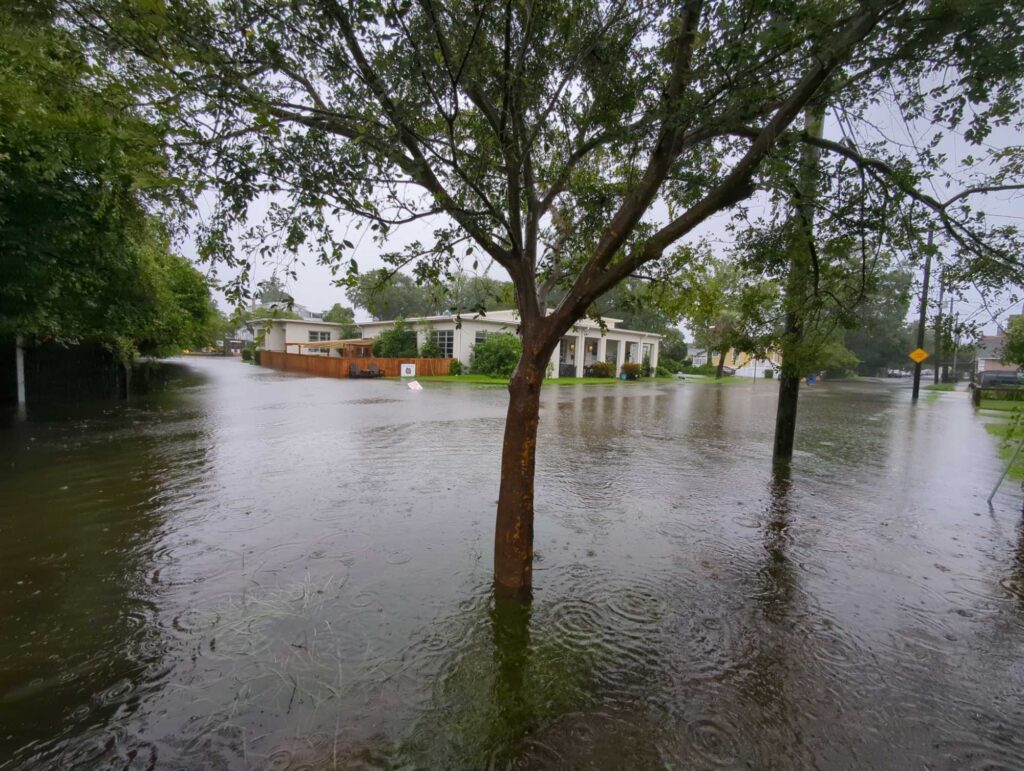 a flooded area with trees and buildings (MyCoast AI)