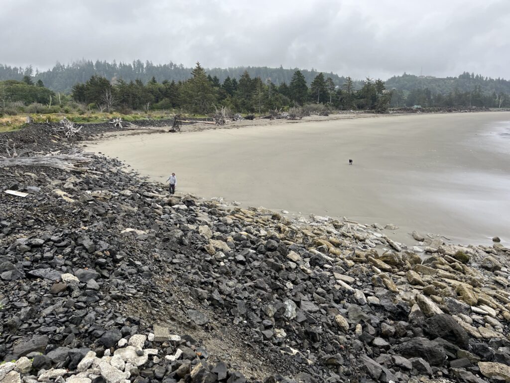 a person standing on a beach (MyCoast AI)