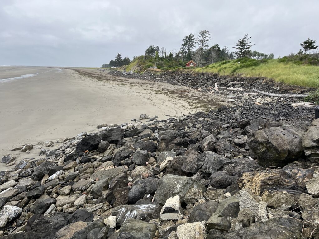 a rocky beach with a hill in the background (MyCoast AI)