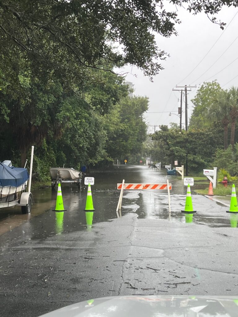 a road with yellow and green cones (MyCoast AI)
