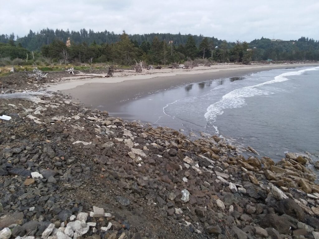a rocky beach with a body of water and trees in the background (MyCoast AI)