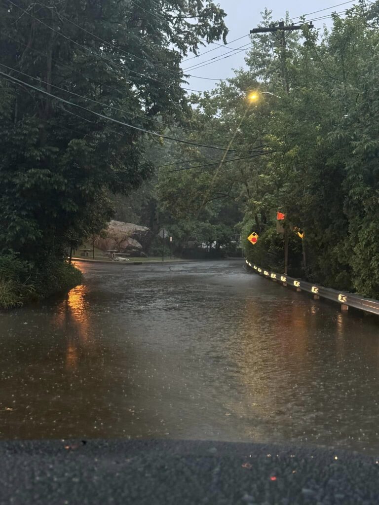 a flooded street with trees on either side of it (MyCoast AI)