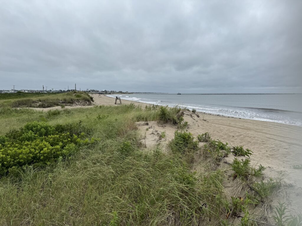 a beach with grass and sand (MyCoast AI)