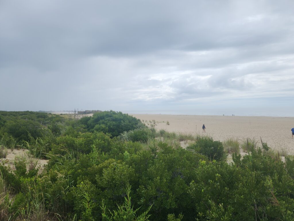 a person walking in a field (MyCoast AI)