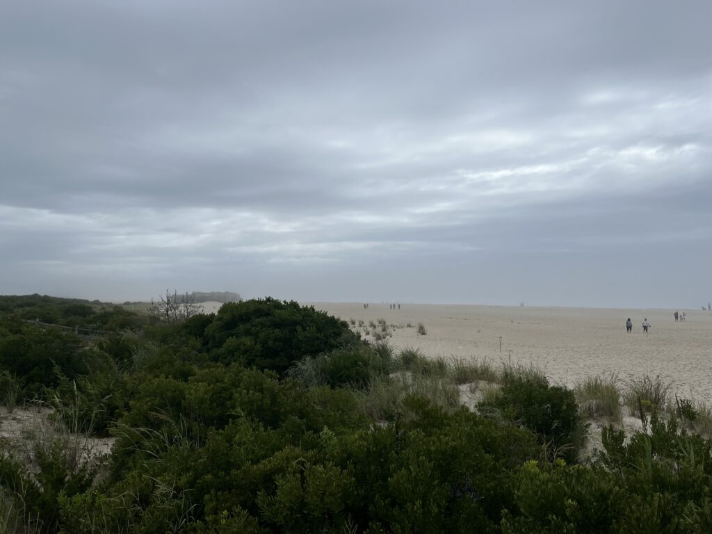 a group of people walking on a beach (MyCoast AI)