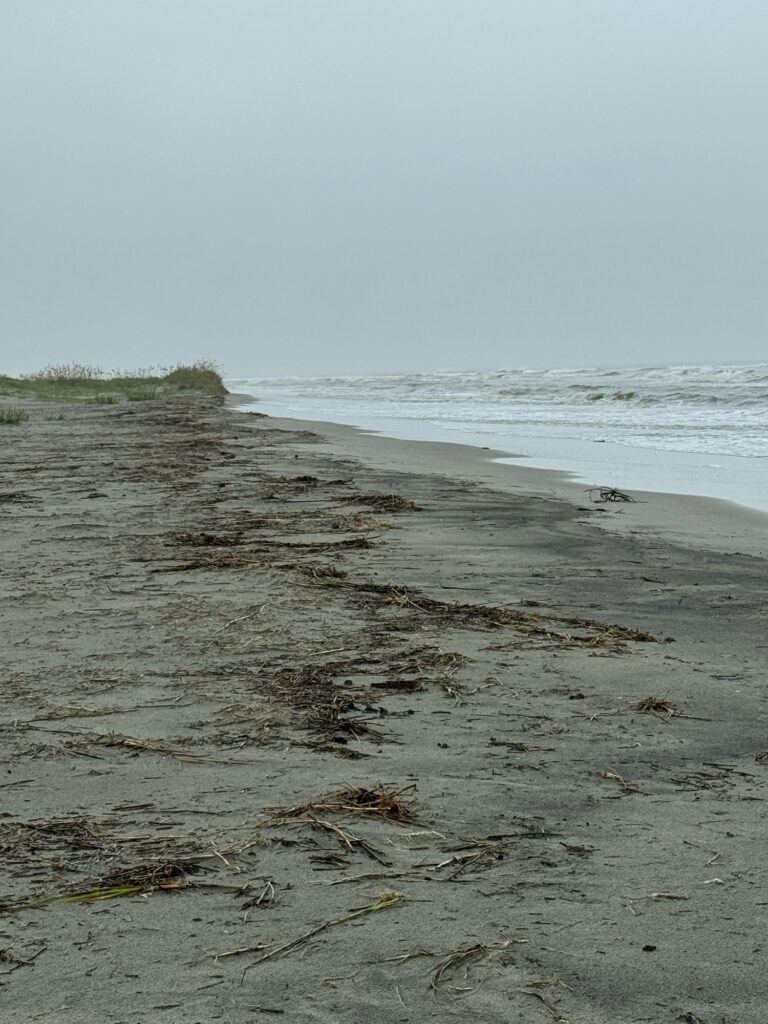 a beach with waves crashing (MyCoast AI)