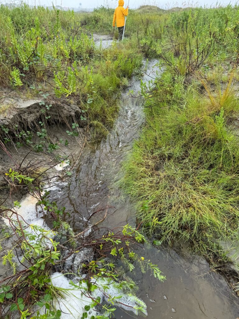 a small stream with a yellow flag (MyCoast AI)