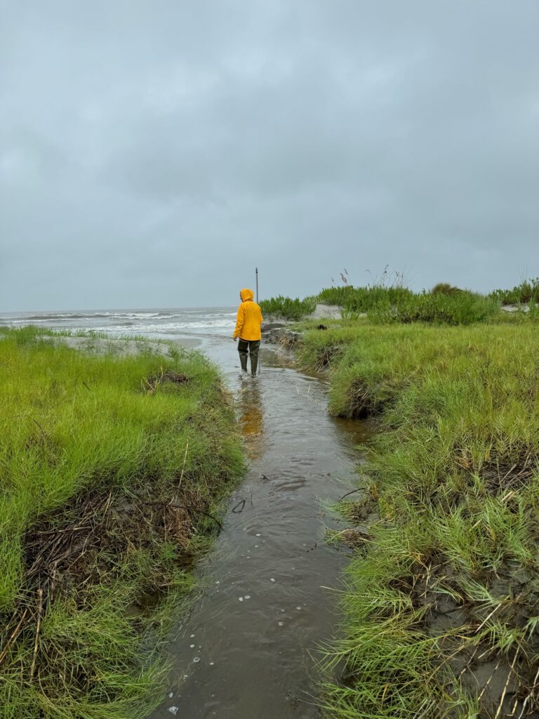 a person walking on a path by the water (MyCoast AI)
