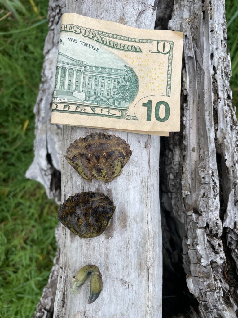 a tree trunk with a sign on it (MyCoast AI)